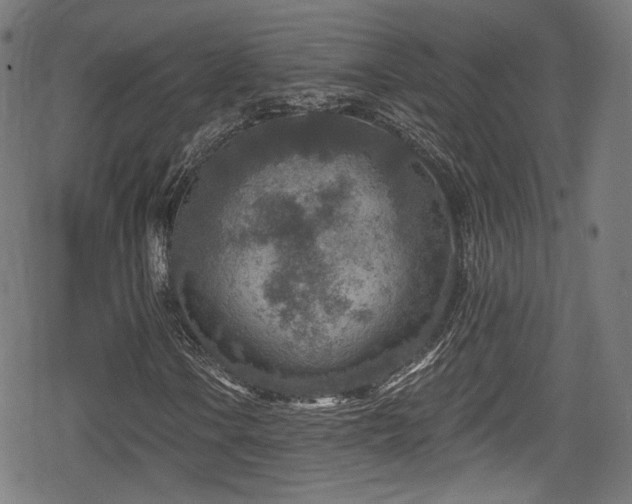 X0000078891106200611131223