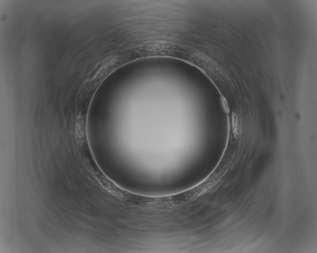 X0000078891107200611131223