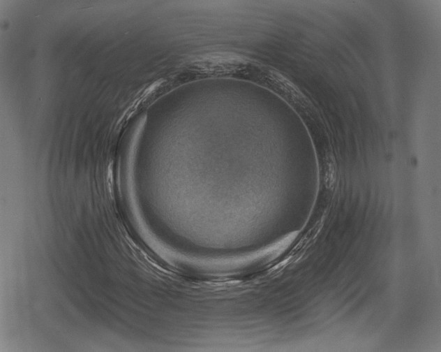 X0000078891108200611131223