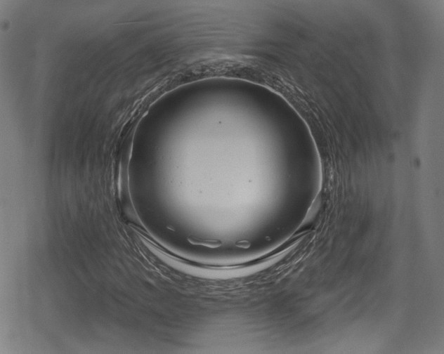 X0000078891109200611131223