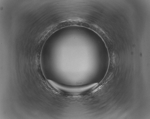 X0000078891110200611131223