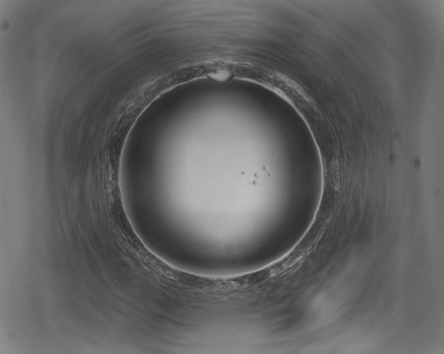 X0000078891111200611131223