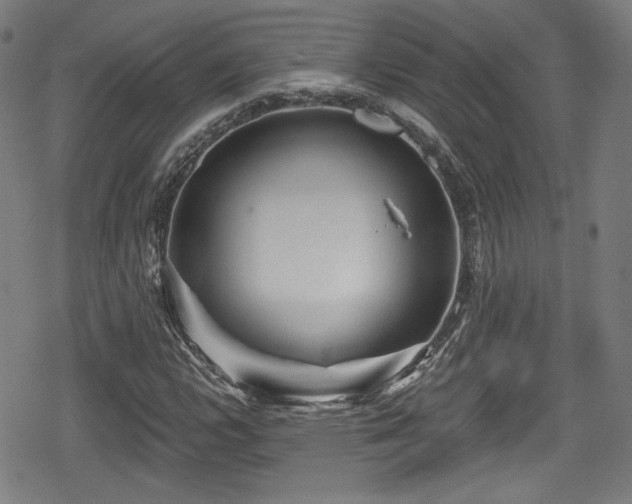 X0000078891112200611131223