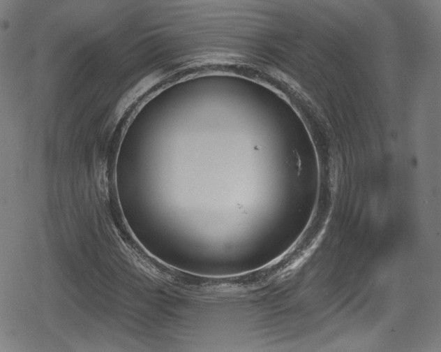 X0000078891113200611131223