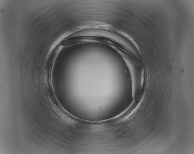 X0000078891114200611131223