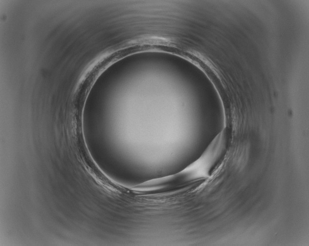 X0000078891115200611131223