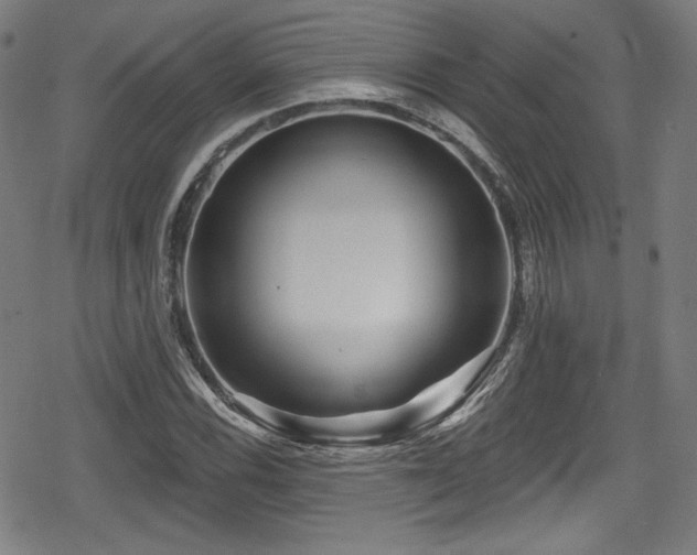 X0000078891116200611131223