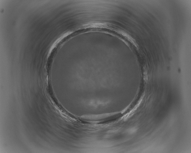 X0000078891117200611131223