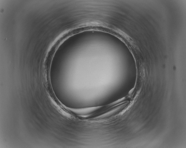 X0000078891118200611131223