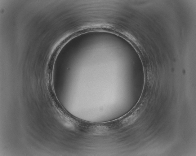 X0000078891119200611131223