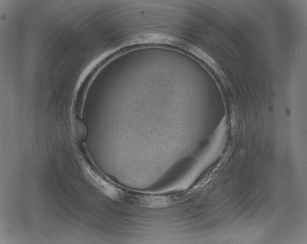 X0000078891120200611131223