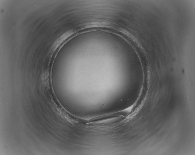 X0000078891121200611131223