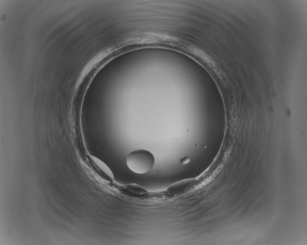 X0000078891122200611131223