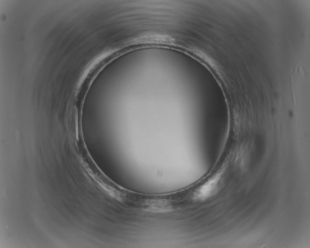 X0000078891123200611131223