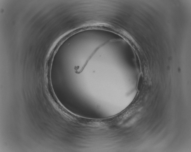 X0000078891124200611131223