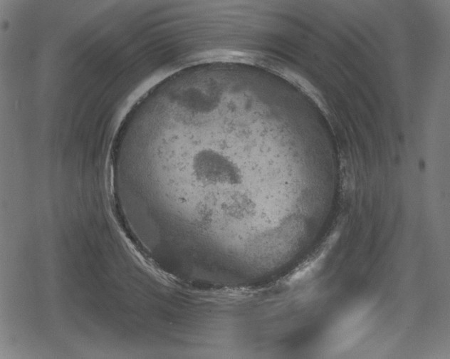 X0000078891125200611131223