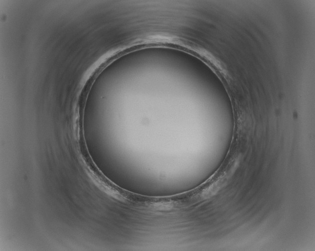 X0000078891126200611131223