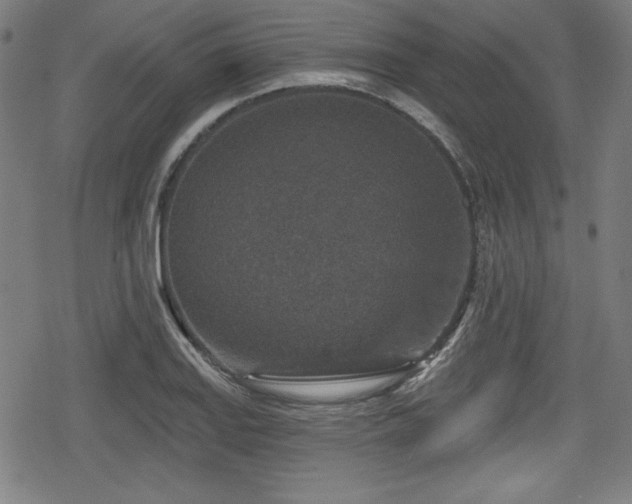 X0000078891127200611131223