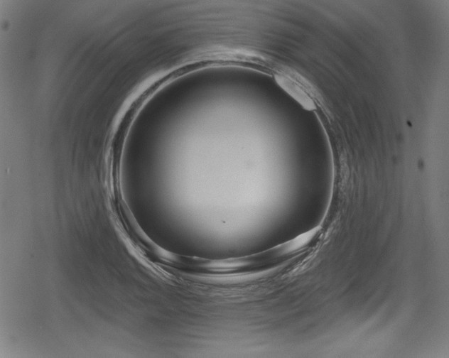 X0000078891128200611131223