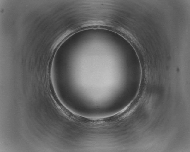 X0000078891129200611131223