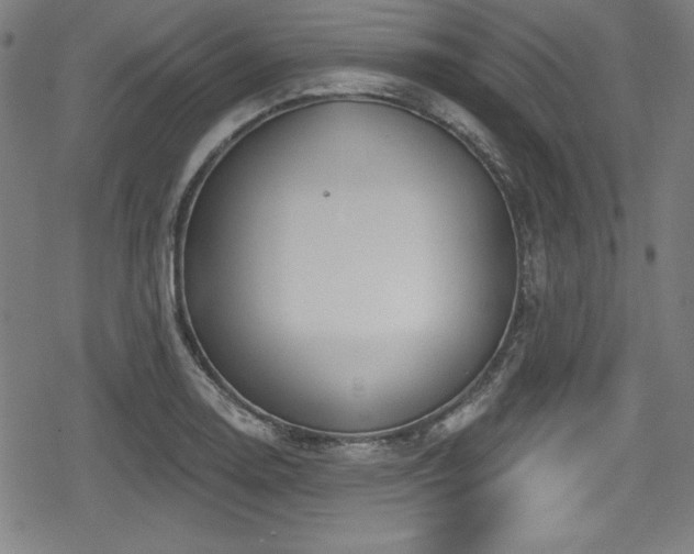 X0000078891130200611131223