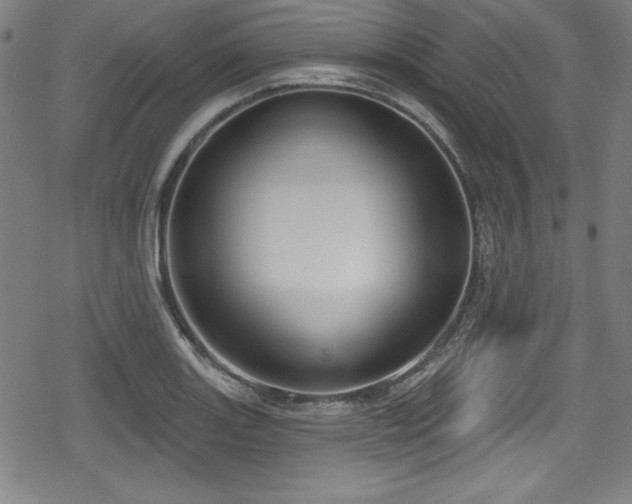 X0000078891131200611131223