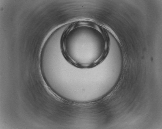 X0000078891132200611131223