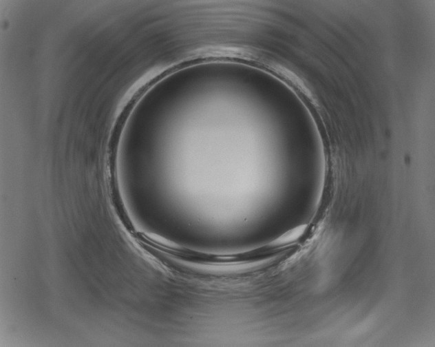 X0000078891133200611131223