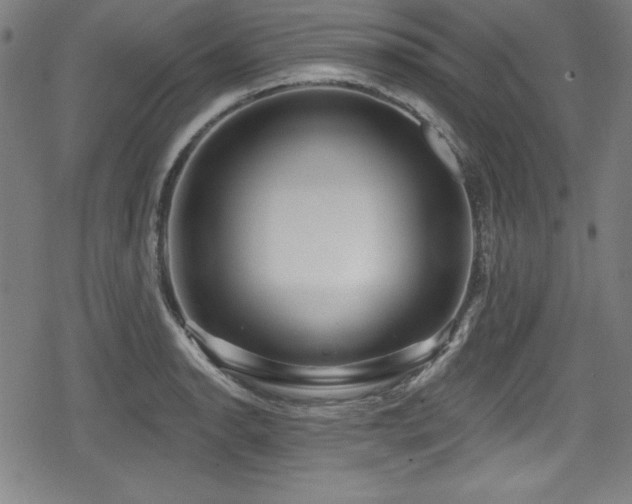 X0000078891134200611131223