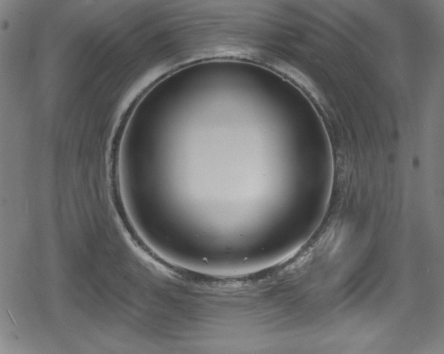 X0000078891135200611131223