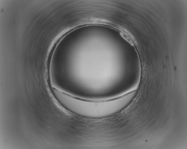 X0000078891136200611131223