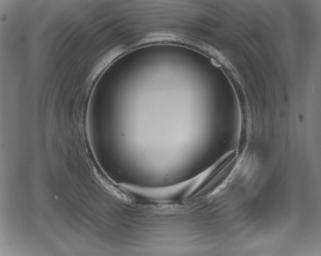 X0000078891137200611131223