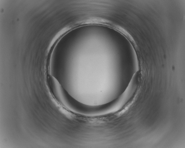 X0000078891138200611131223