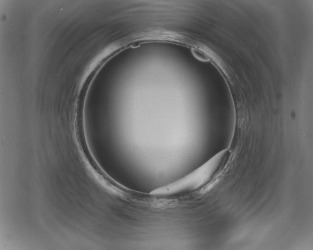 X0000078891139200611131223