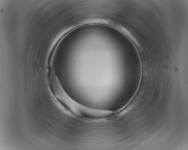 X0000078891140200611131223