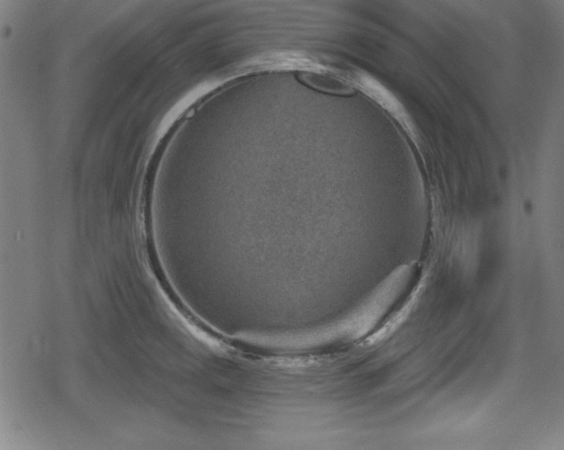 X0000078891141200611131223