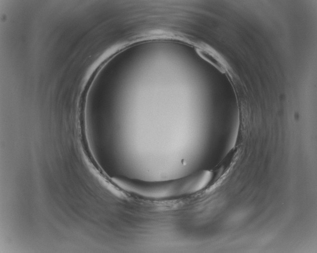 X0000078891142200611131223