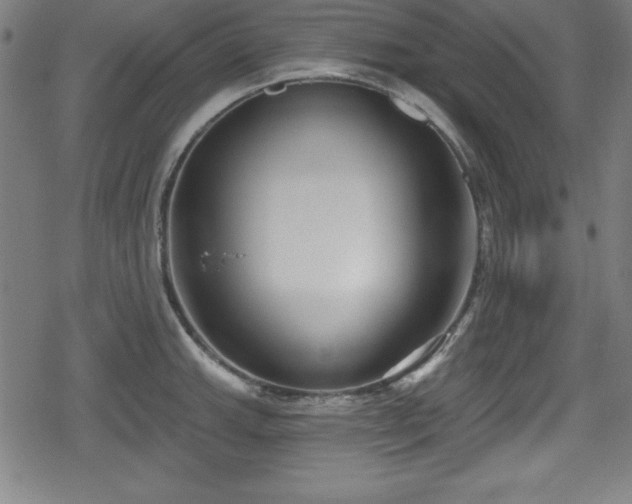 X0000078891143200611131223