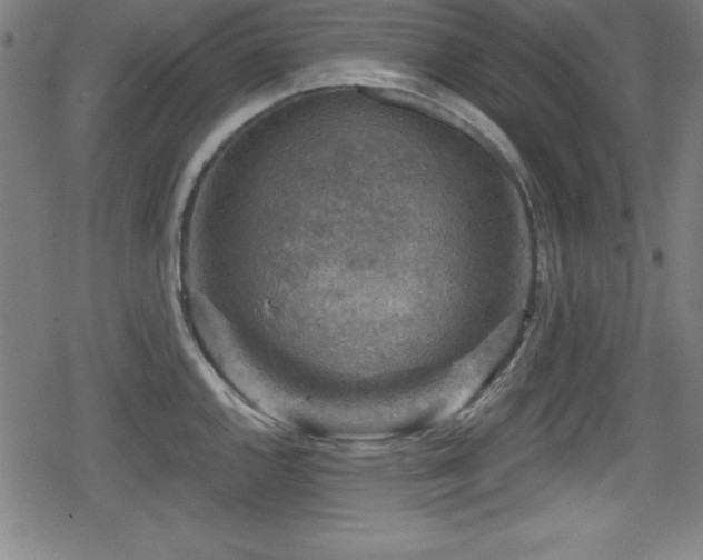 X0000078891144200611131223