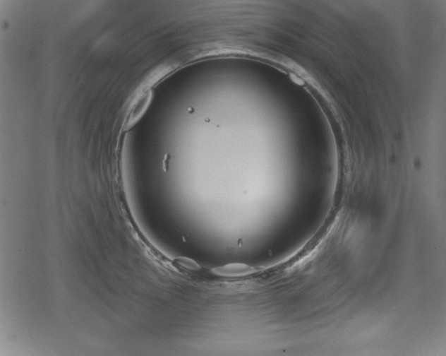 X0000078891145200611131223