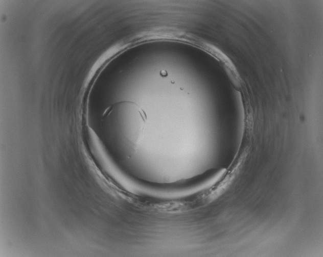 X0000078891146200611131223