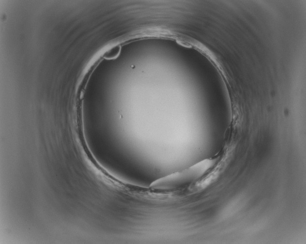 X0000078891147200611131223