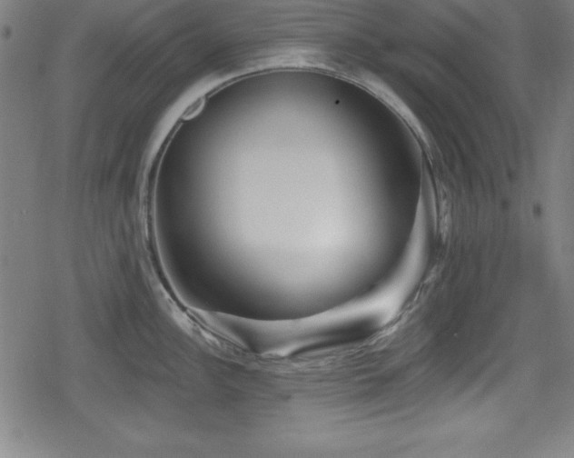 X0000078891148200611131223