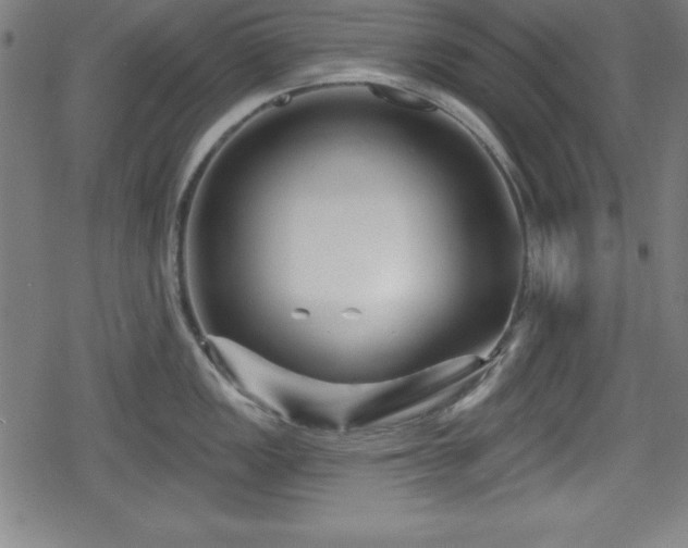 X0000078891149200611131223