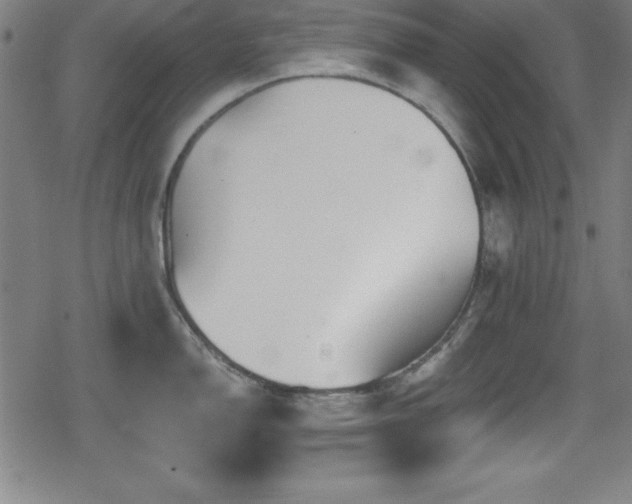 X0000078891150200611131223