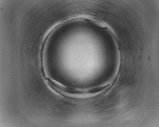 X0000078891151200611131223