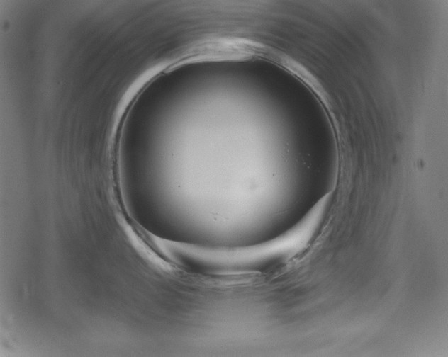 X0000078891152200611131223