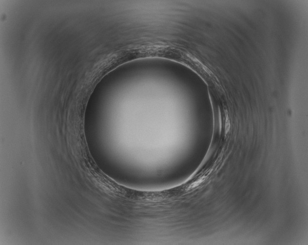 X0000078891153200611131223