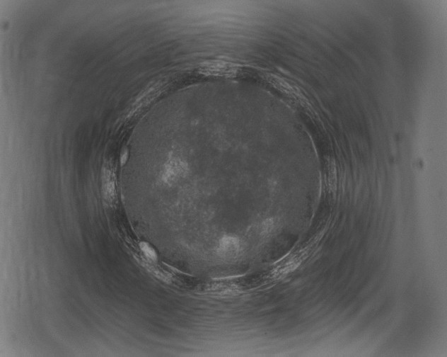 X0000078891154200611131223