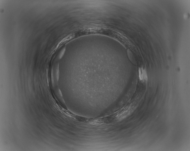 X0000078891155200611131223